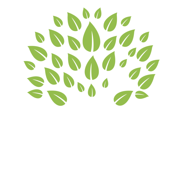 Liv Ayurveda Logo